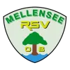 RSV Mellensee 08*
