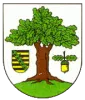 FSV Grün-Weiß Niemegk
