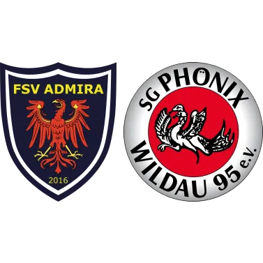 (2M) FSV Admira II <span class="nowrap bold mx-1">0 : 1</span> SG Phönix Wildau II