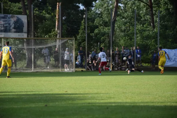 02.07.2023 FSV Admira vs. MSV Zossen 07