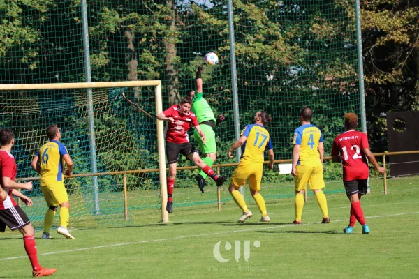 19.08.2023 FSV Admira vs. Teltower FV 1913
